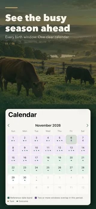 Season calendar in Livestock Gestation Tracker showing November 2026 with reference-date bands and overlapping birth windows