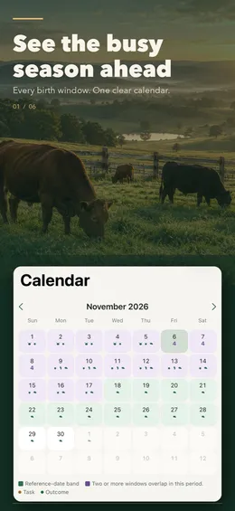 November 2026 season calendar with reference-date bands and weeks where two or more windows overlap