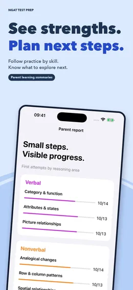 Parent report with first-attempt results by skill for the verbal and nonverbal areas