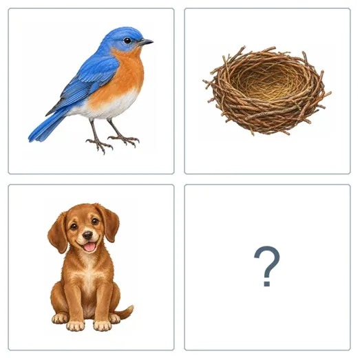 A bird and a nest go together. Next to them: a puppy and an empty box.